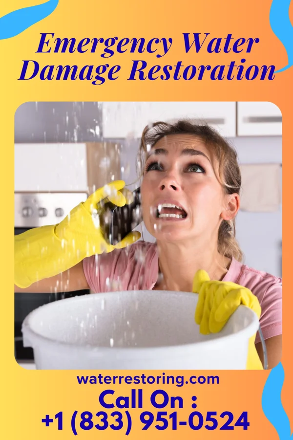 Emergency Water Damage Restoration in East Williston, NY