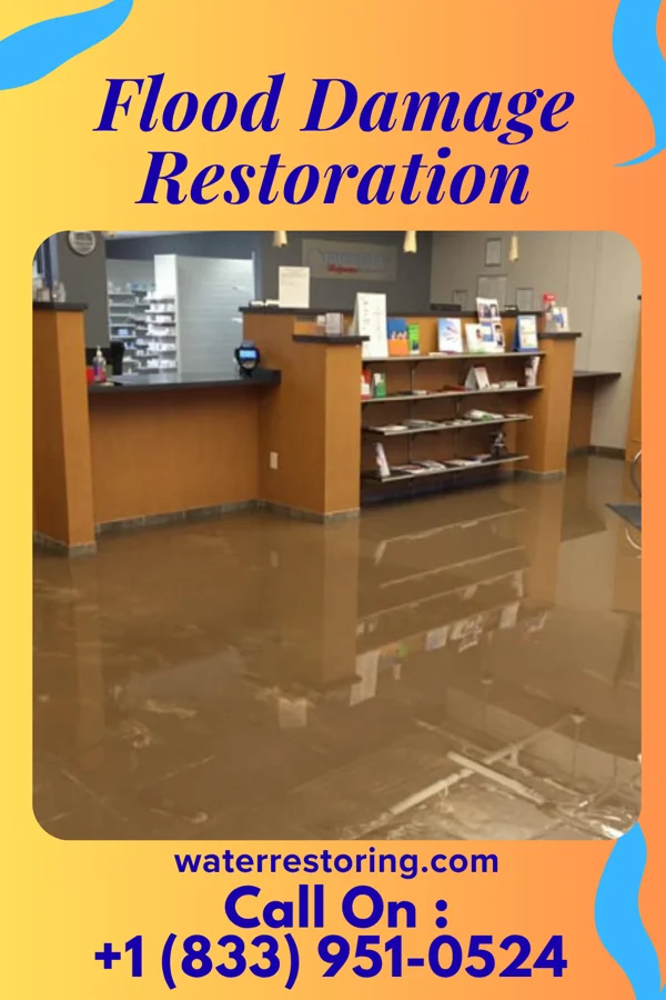 Flood Damage Restoration in East Williston, NY