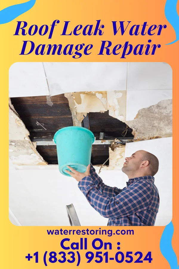 Roof Leak Water Damage Repair in East Williston, NY