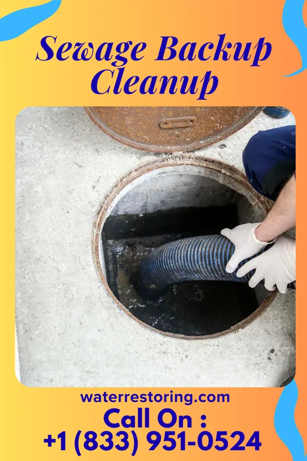 Sewage Backup Cleanup in East Williston, NY