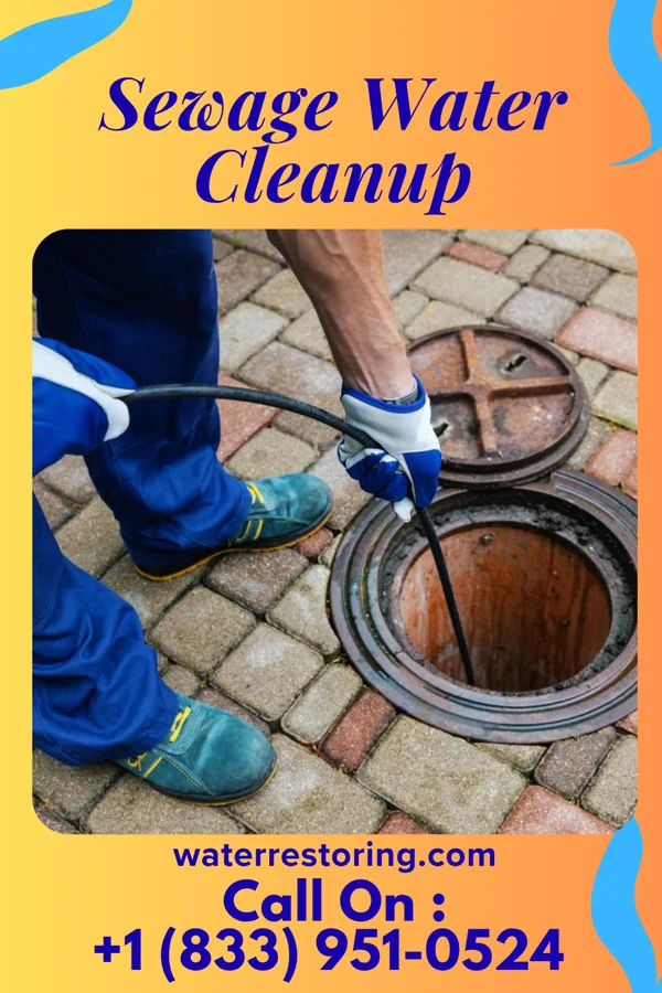Sewage Water Cleanup in East Williston, NY