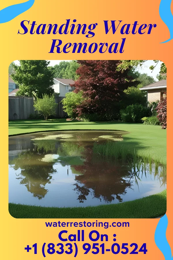 Standing Water Removal in East Williston, NY